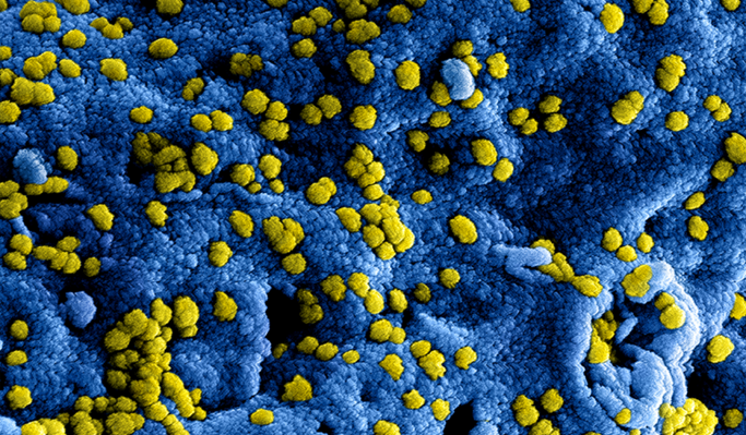 nieuw_coronavirus_in_china